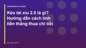 Read more about the article Kèo tài xỉu 2.5 là gì? Hướng dẫn cách tính tiền thắng thua chi tiết
